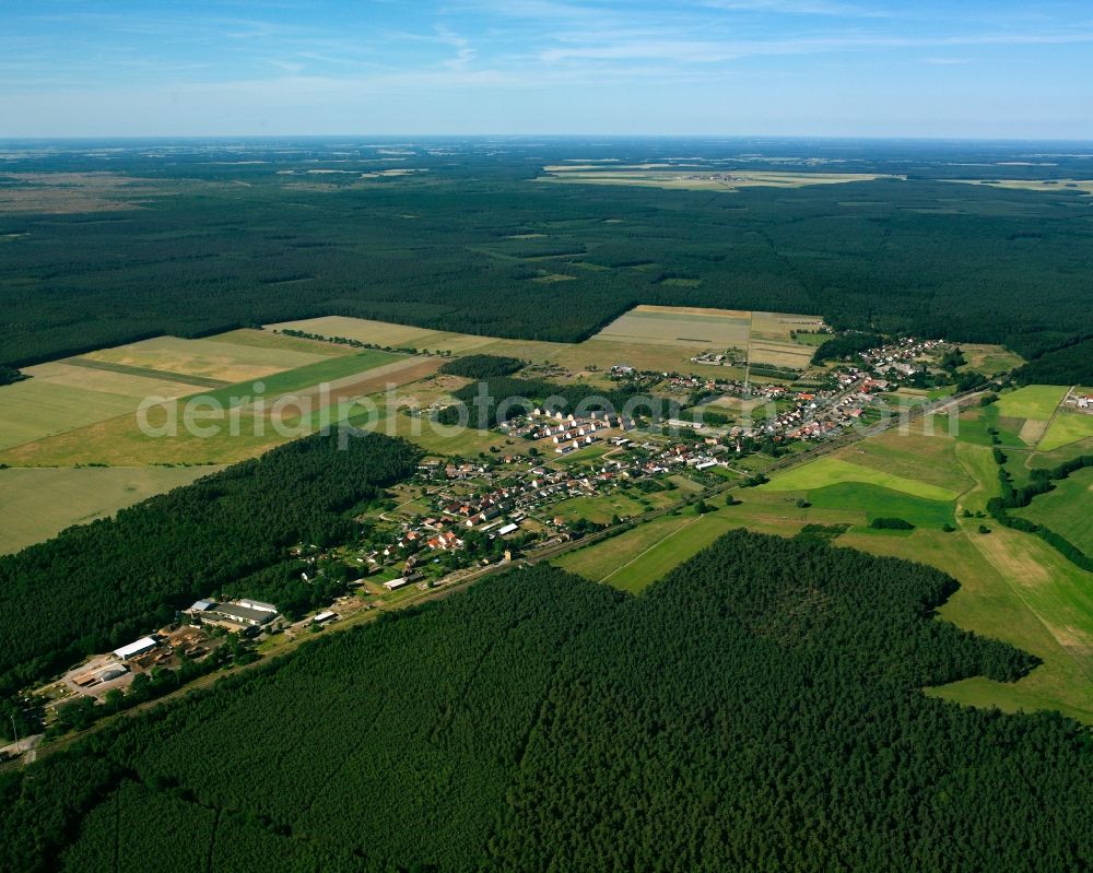 Aerial image Nedlitz - Agricultural land and field boundaries surround the settlement area of the village in Nedlitz in the state Saxony-Anhalt, Germany