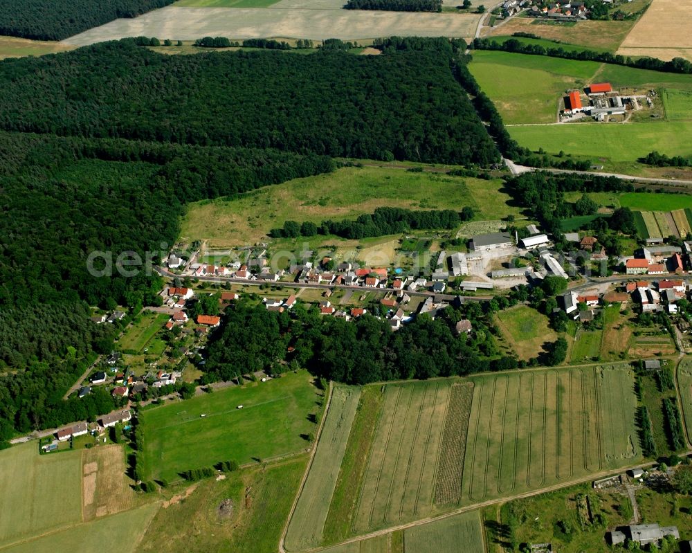 Nedlitz from the bird's eye view: Agricultural land and field boundaries surround the settlement area of the village in Nedlitz in the state Saxony-Anhalt, Germany