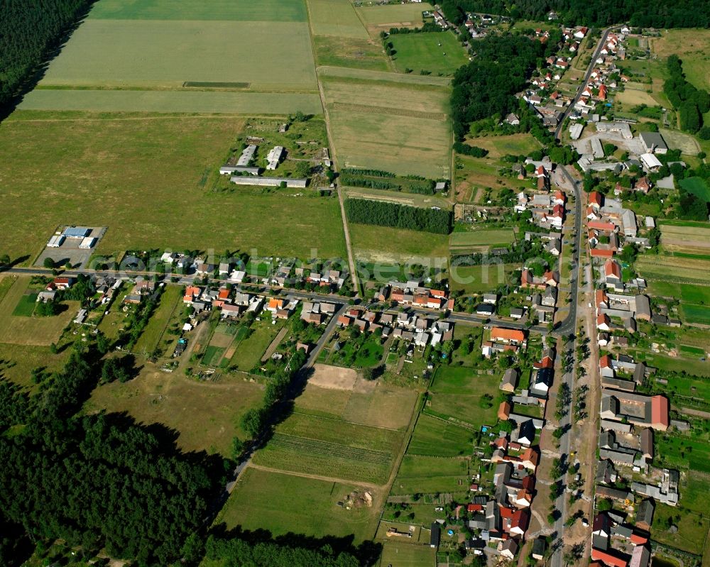 Aerial image Nedlitz - Agricultural land and field boundaries surround the settlement area of the village in Nedlitz in the state Saxony-Anhalt, Germany