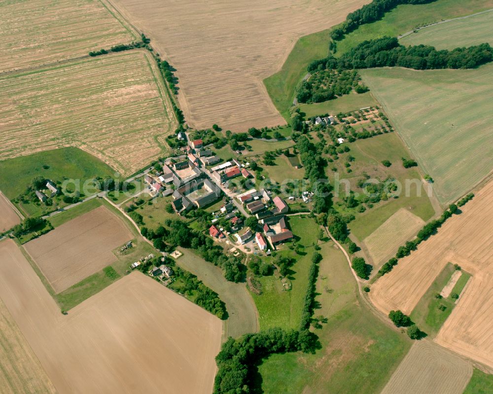 Aerial photograph Negis - Agricultural land and field boundaries surround the settlement area of the village in Negis in the state Thuringia, Germany