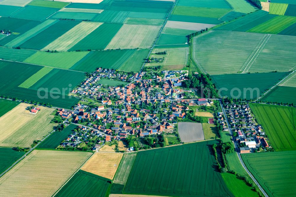 Söhlde from the bird's eye view: Agricultural land and field boundaries surround the settlement area of the village Nettlingen on street Marienburger Strasse in Soehlde in the state Lower Saxony, Germany