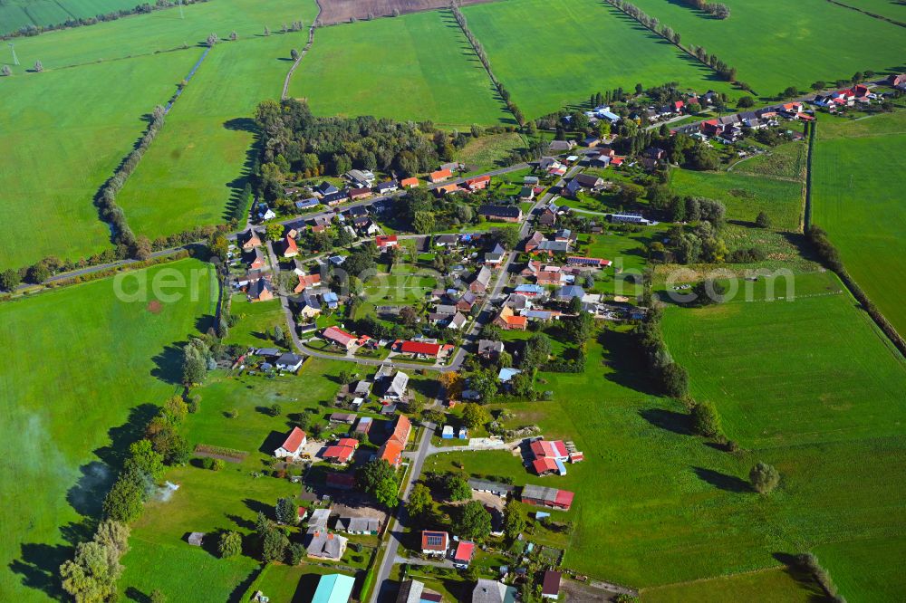 Aerial image Neu Brenz - Agricultural land and field boundaries surround the settlement area of the village in Neu Brenz in the state Mecklenburg - Western Pomerania, Germany