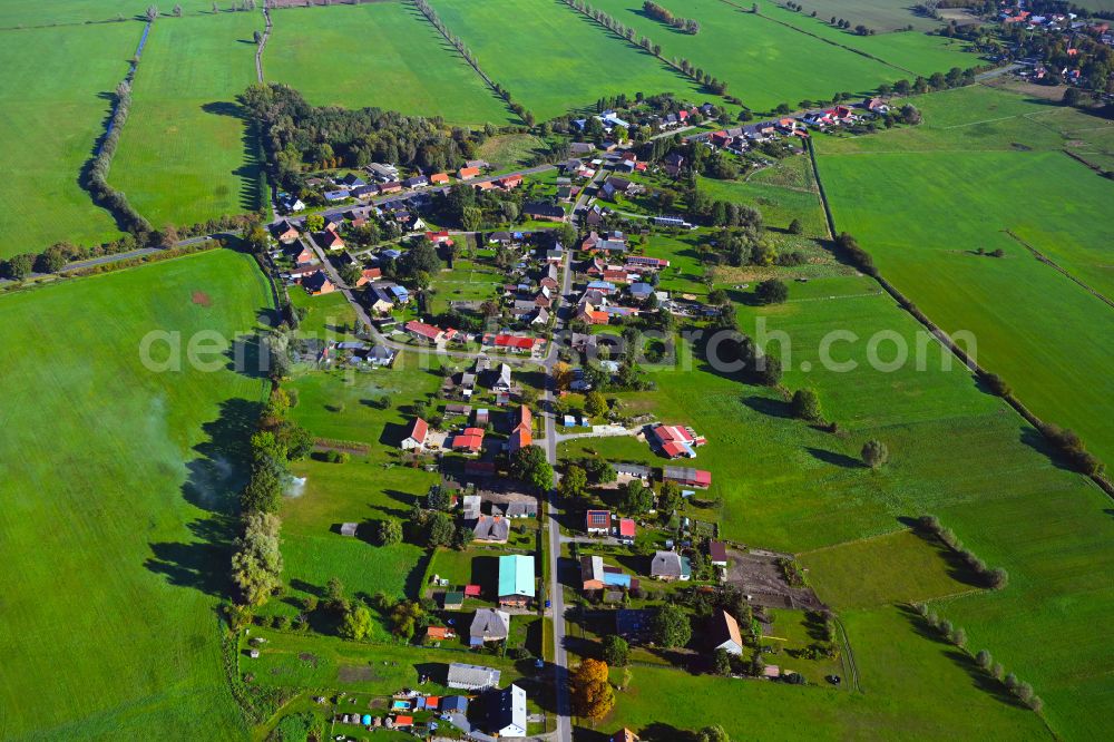 Aerial photograph Neu Brenz - Agricultural land and field boundaries surround the settlement area of the village in Neu Brenz in the state Mecklenburg - Western Pomerania, Germany