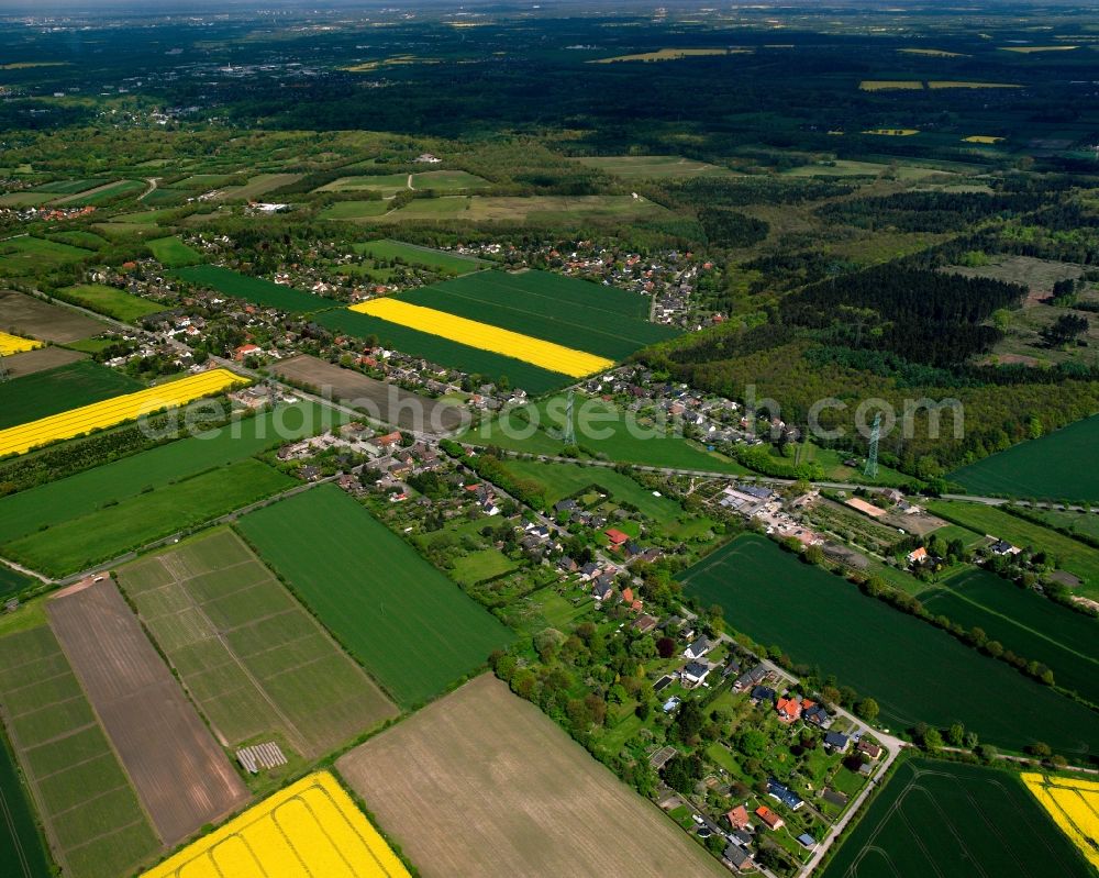 Aerial image Neu-Börnsen - Agricultural land and field boundaries surround the settlement area of the village in Neu-Börnsen in the state Schleswig-Holstein, Germany