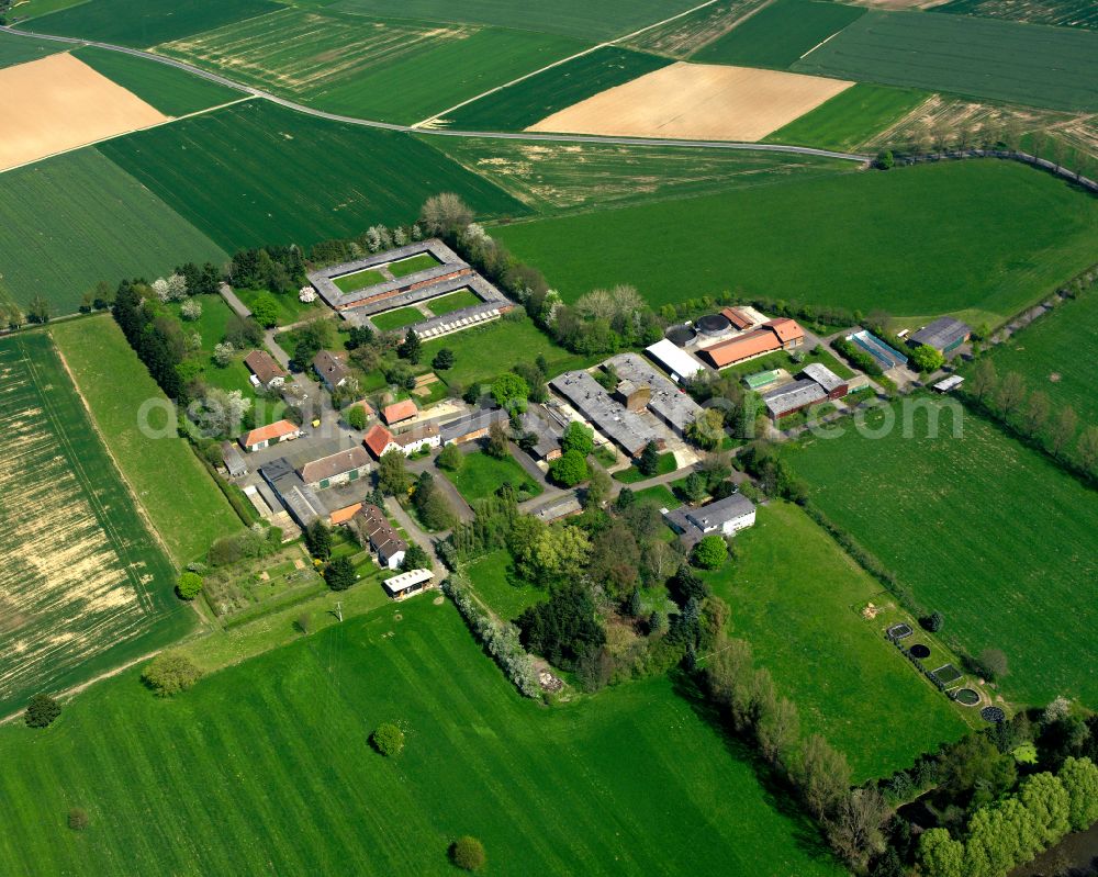 Neu-Ulrichstein from above - Agricultural land and field boundaries surround the settlement area of the village in Neu-Ulrichstein in the state Hesse, Germany