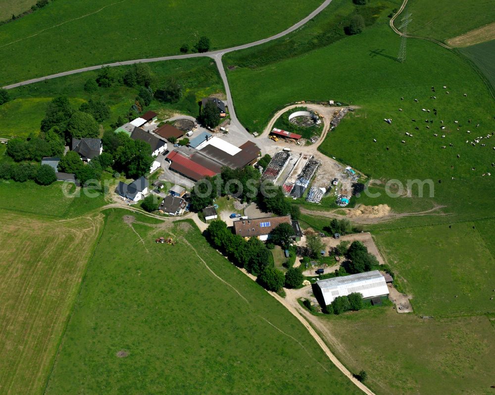 Neuenhaus from the bird's eye view: Agricultural land and field boundaries surround the settlement area of the village in Neuenhaus in the state North Rhine-Westphalia, Germany