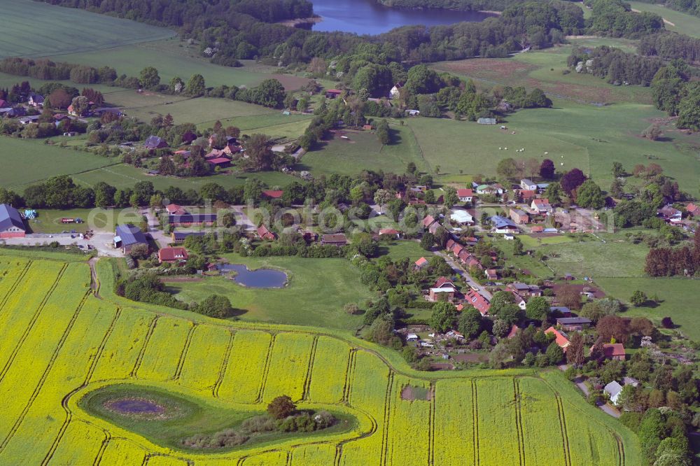 Aerial photograph Neuenkirchen - Agricultural land and field boundaries surround the settlement area of the village in Neuenkirchen in the state Mecklenburg - Western Pomerania, Germany