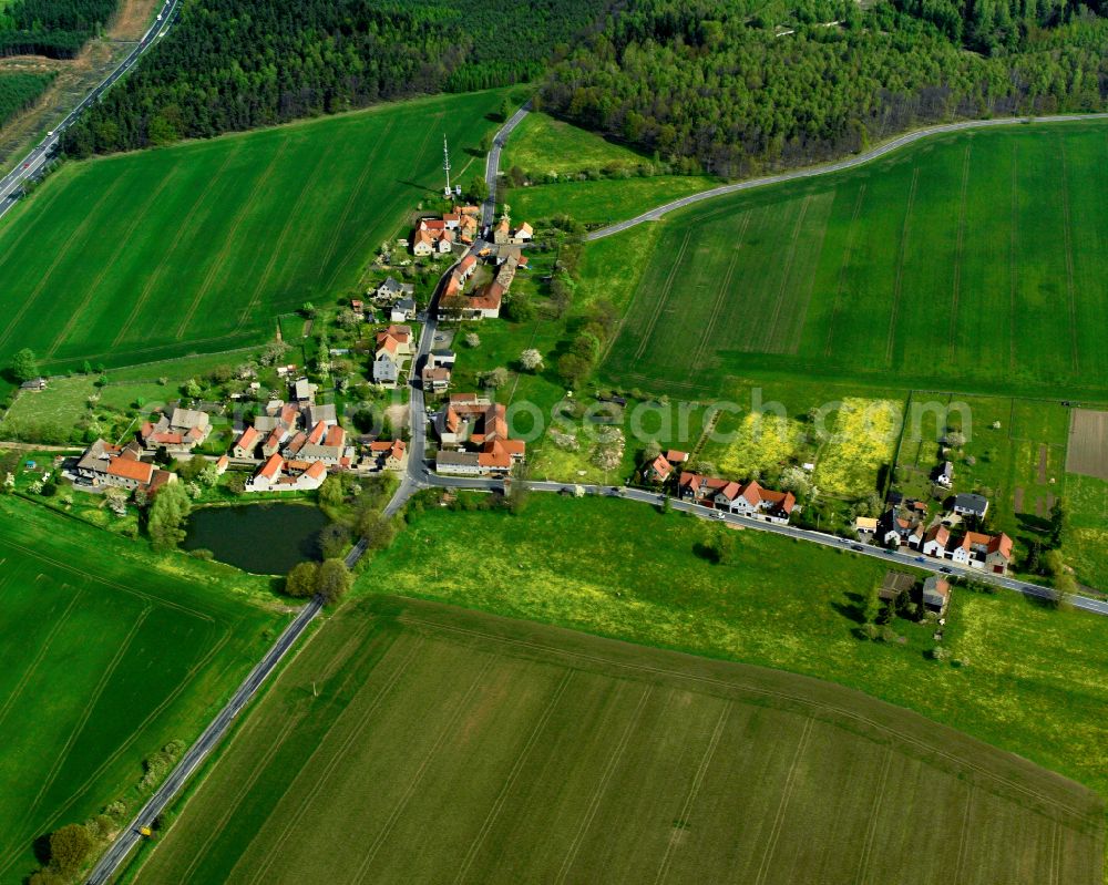 Aerial image Neuensorga - Agricultural land and field boundaries surround the settlement area of the village in Neuensorga in the state Thuringia, Germany