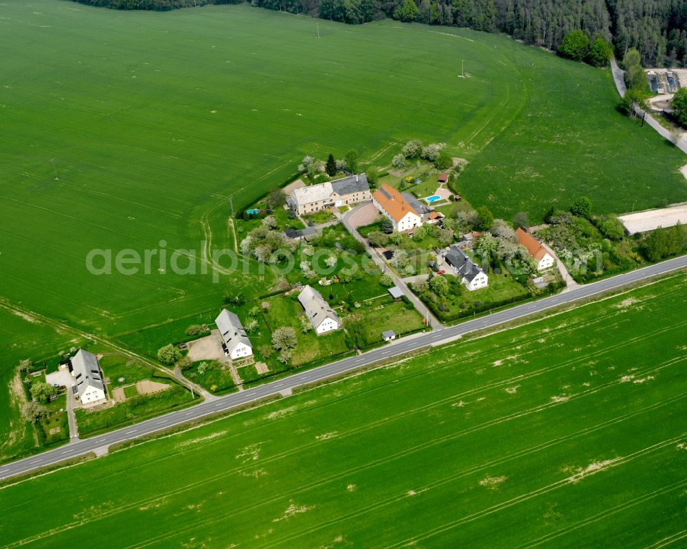 Aerial image Neugepülzig - Agricultural land and field boundaries surround the settlement area of the village in Neugepülzig in the state Saxony, Germany