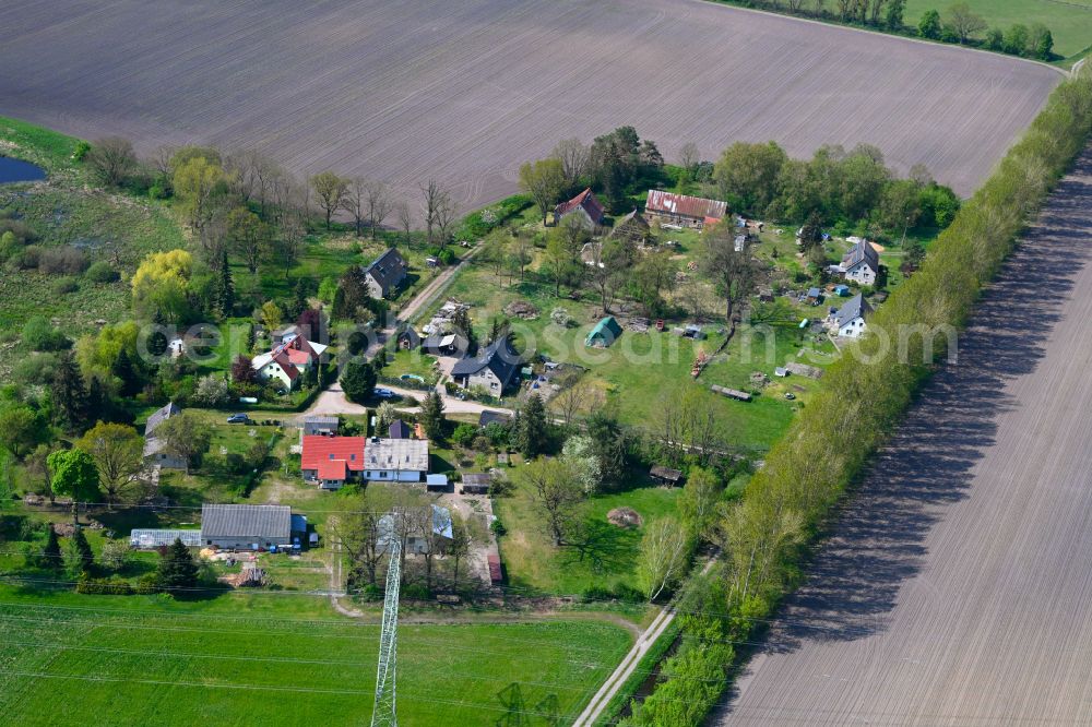 Aerial photograph Neuholland - Agricultural land and field boundaries surround the settlement area of the village in Neuholland in the state Brandenburg, Germany