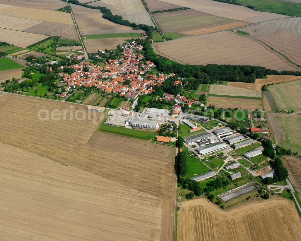 Neunheilingen from above - Agricultural land and field boundaries surround the settlement area of the village in Neunheilingen in the state Thuringia, Germany