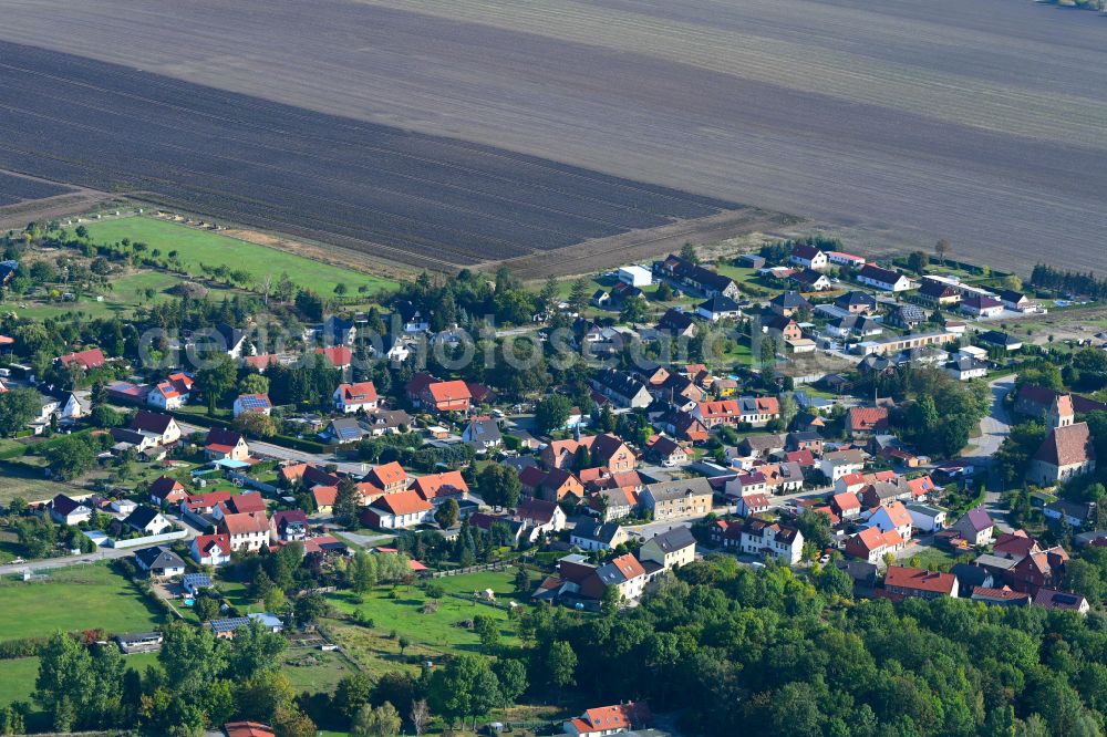 Neuwegersleben from the bird's eye view: Agricultural land and field boundaries surround the settlement area of the village in Neuwegersleben in the state Saxony-Anhalt, Germany