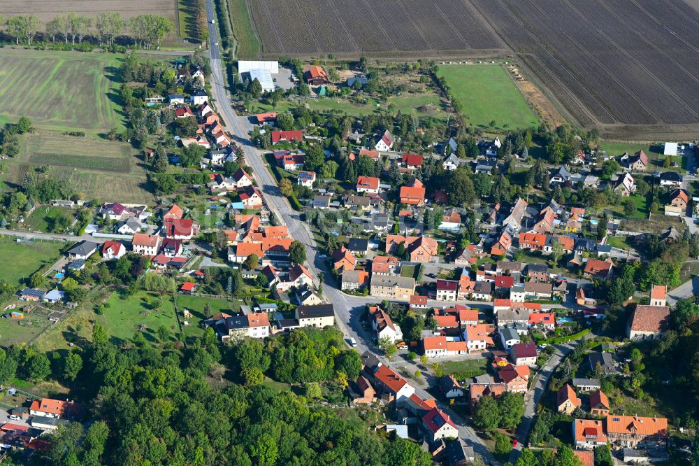 Aerial image Neuwegersleben - Agricultural land and field boundaries surround the settlement area of the village in Neuwegersleben in the state Saxony-Anhalt, Germany