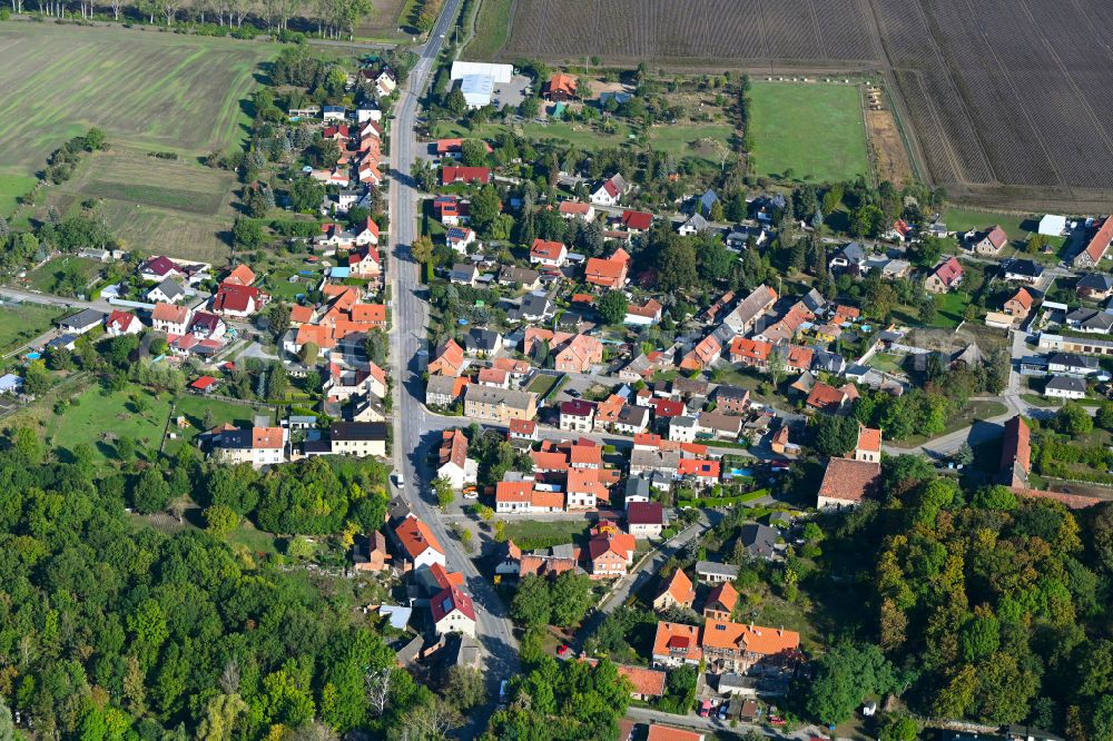 Aerial photograph Neuwegersleben - Agricultural land and field boundaries surround the settlement area of the village in Neuwegersleben in the state Saxony-Anhalt, Germany