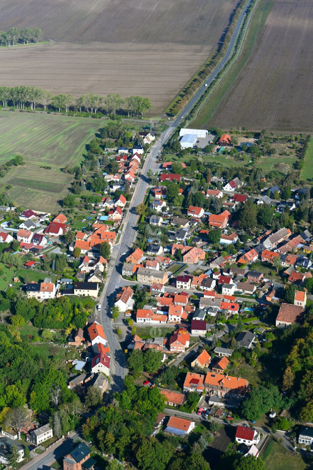 Neuwegersleben from above - Agricultural land and field boundaries surround the settlement area of the village in Neuwegersleben in the state Saxony-Anhalt, Germany