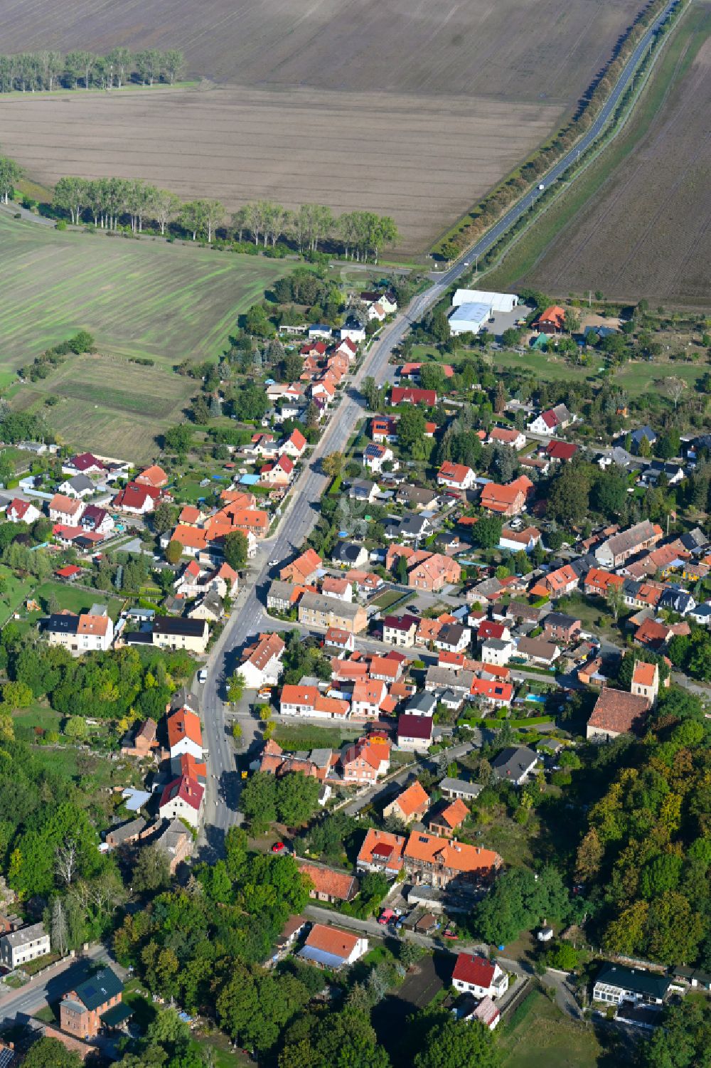 Neuwegersleben from the bird's eye view: Agricultural land and field boundaries surround the settlement area of the village in Neuwegersleben in the state Saxony-Anhalt, Germany