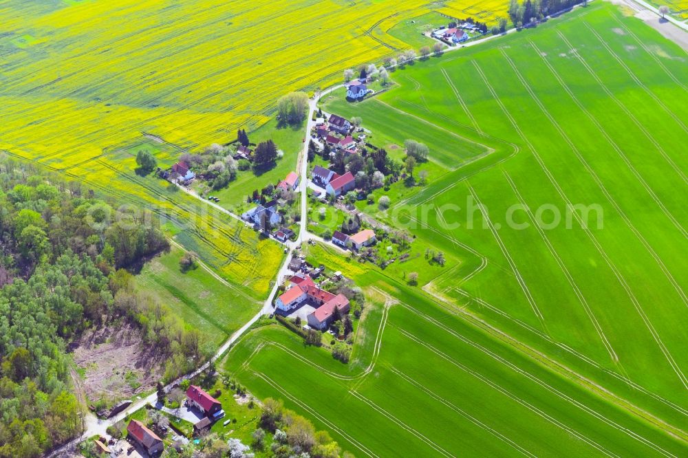 Aerial image Neuwuischke - Agricultural land and field boundaries surround the settlement area of the village in Neuwuischke in the state Saxony, Germany