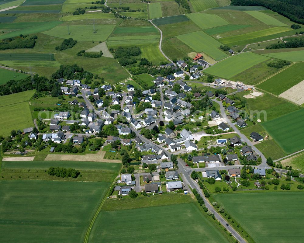 Ney from above - Agricultural land and field boundaries surround the settlement area of the village in Ney in the state Rhineland-Palatinate, Germany