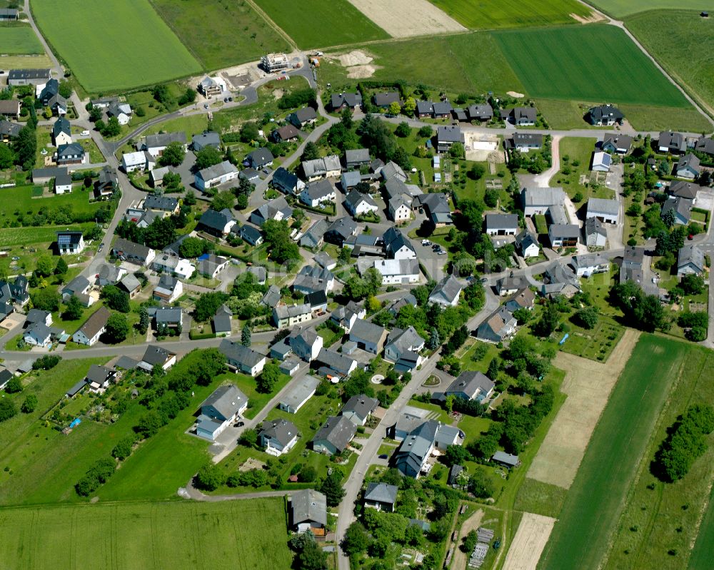 Ney from the bird's eye view: Agricultural land and field boundaries surround the settlement area of the village in Ney in the state Rhineland-Palatinate, Germany