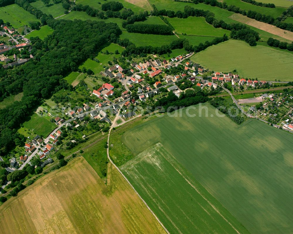 Nickritz from the bird's eye view: Agricultural land and field boundaries surround the settlement area of the village in Nickritz in the state Saxony, Germany