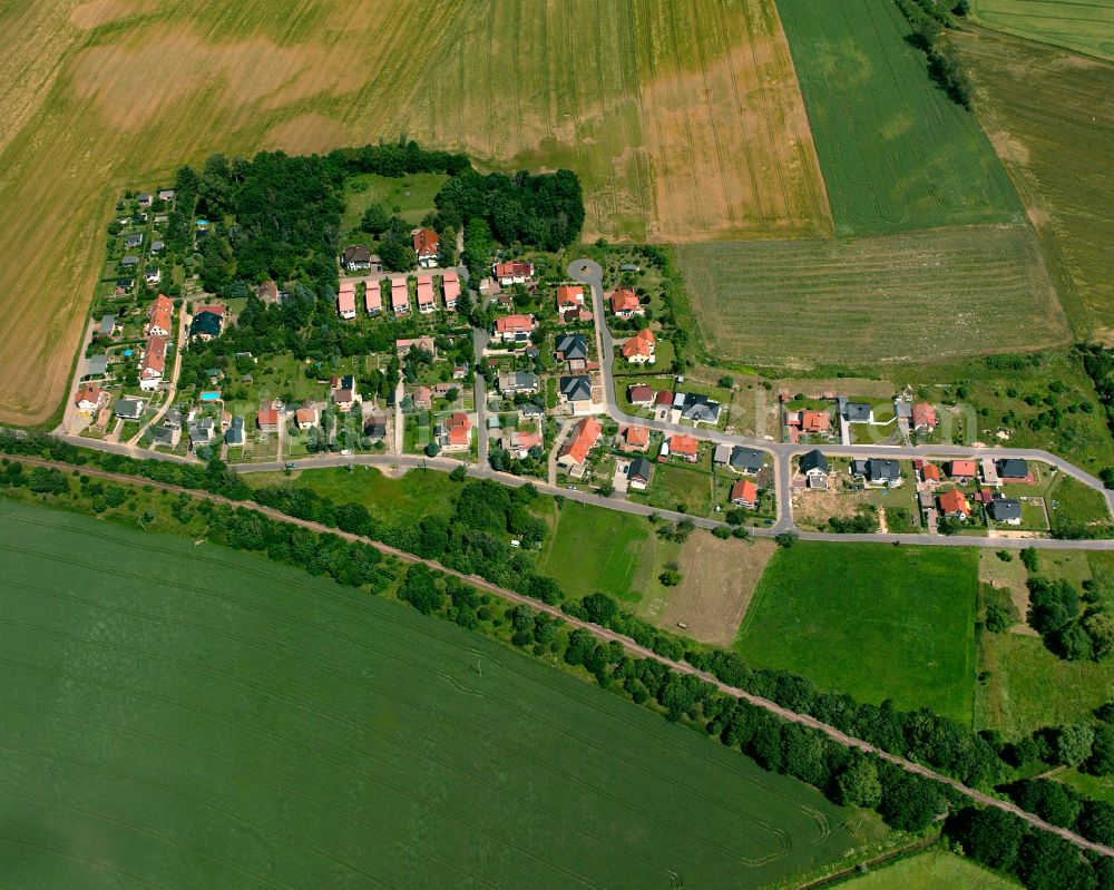 Aerial image Nickritz - Agricultural land and field boundaries surround the settlement area of the village in Nickritz in the state Saxony, Germany