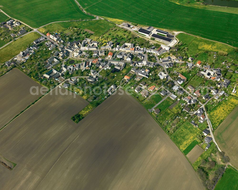 Aerial image Niederböhmersdorf - Agricultural land and field boundaries surround the settlement area of the village in Niederböhmersdorf in the state Thuringia, Germany