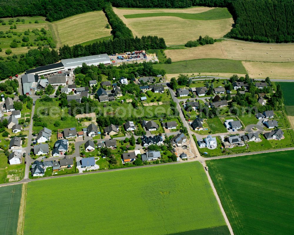 Aerial photograph Niederkumbd - Agricultural land and field boundaries surround the settlement area of the village in Niederkumbd in the state Rhineland-Palatinate, Germany