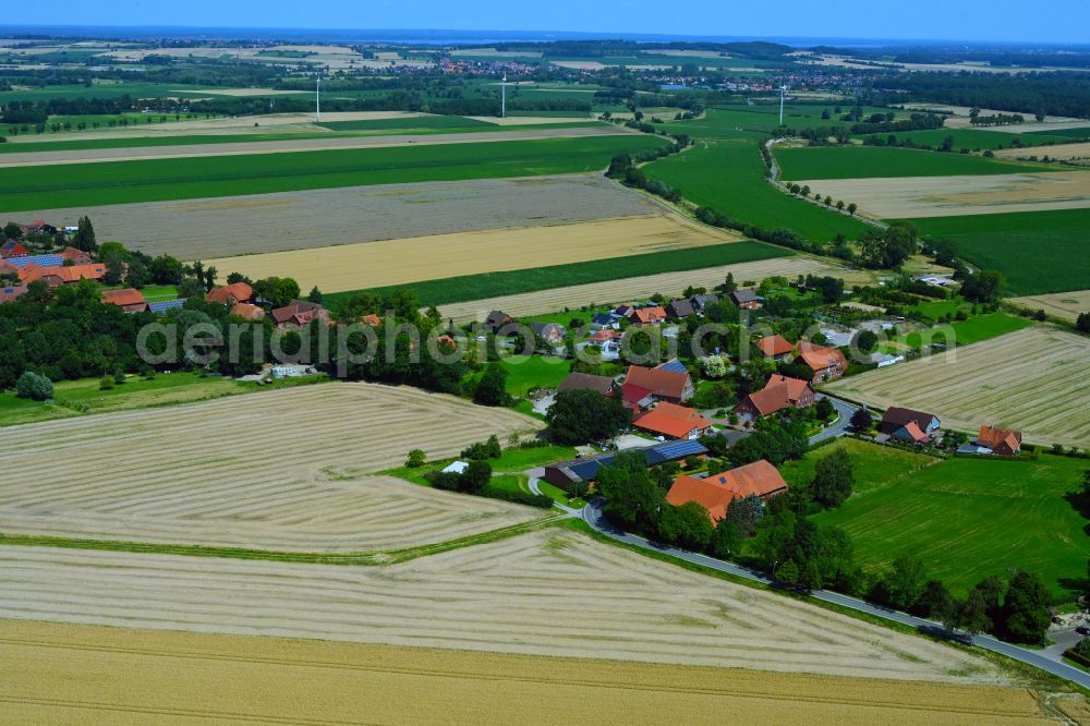 Niedernholz from the bird's eye view: Agricultural land and field boundaries surround the settlement area of the village in Niedernholz in the state Lower Saxony, Germany