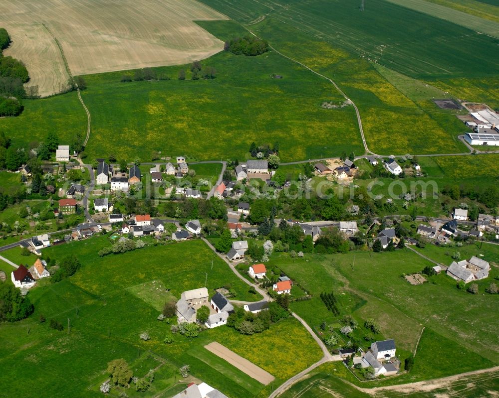 Niederrossau from the bird's eye view: Agricultural land and field boundaries surround the settlement area of the village in Niederrossau in the state Saxony, Germany