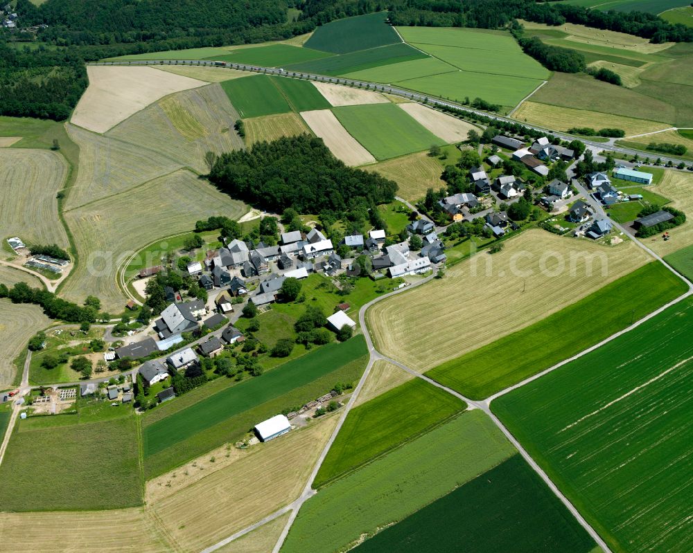 Aerial image Niedert - Agricultural land and field boundaries surround the settlement area of the village in Niedert in the state Rhineland-Palatinate, Germany