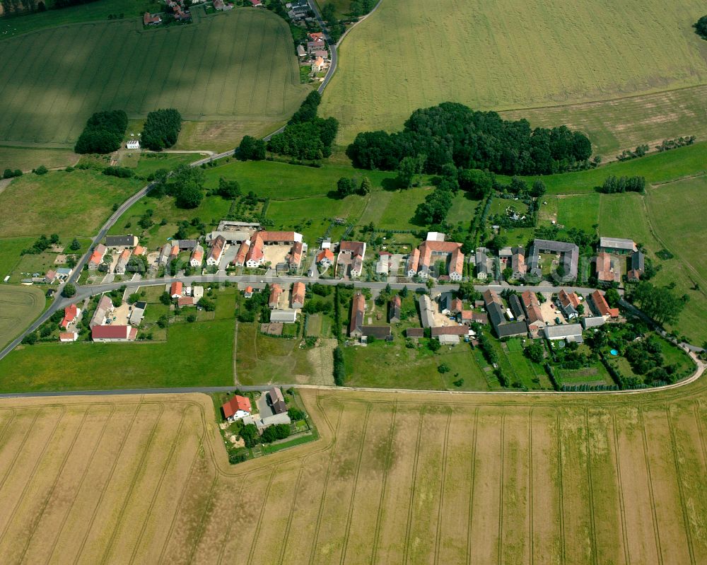 Niegeroda from the bird's eye view: Agricultural land and field boundaries surround the settlement area of the village in Niegeroda in the state Saxony, Germany