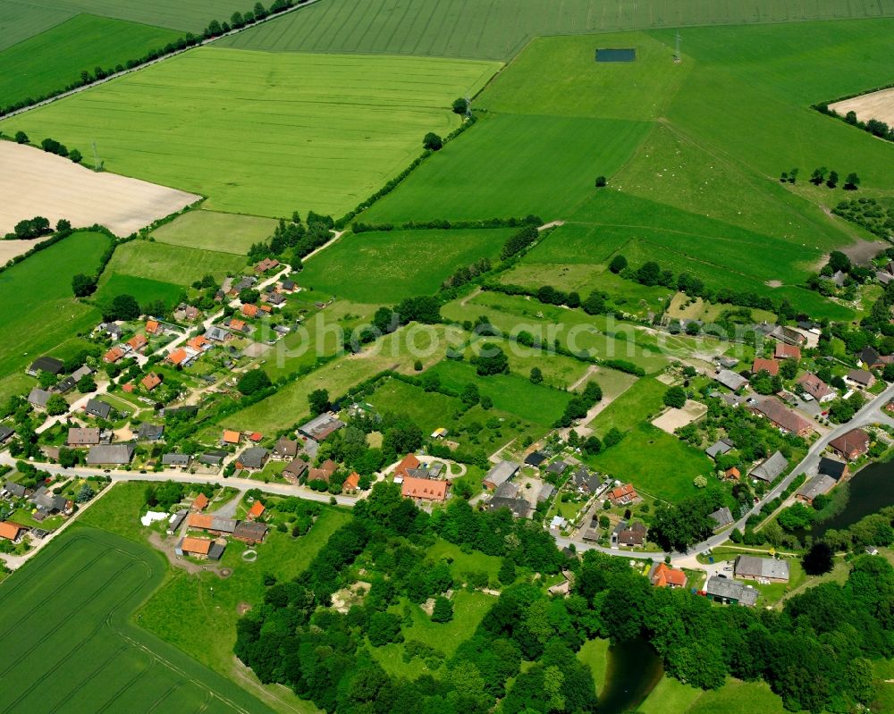 Niendorf from the bird's eye view: Agricultural land and field boundaries surround the settlement area of the village in Niendorf in the state Schleswig-Holstein, Germany