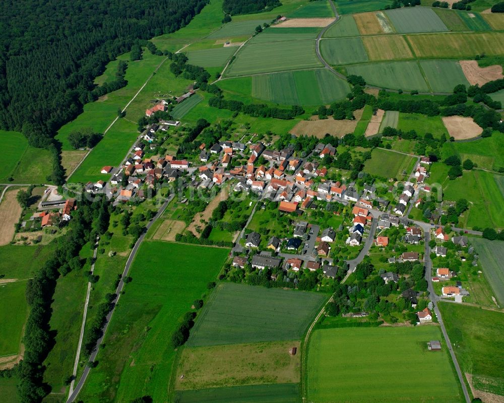 Nienhagen from the bird's eye view: Agricultural land and field boundaries surround the settlement area of the village in Nienhagen in the state Lower Saxony, Germany