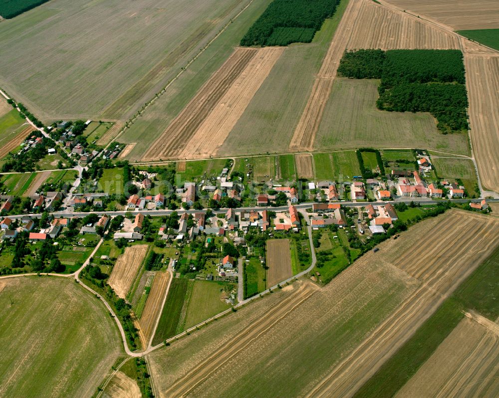 Nieska from the bird's eye view: Agricultural land and field boundaries surround the settlement area of the village in Nieska in the state Saxony, Germany