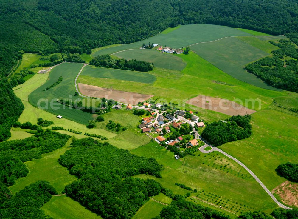 Ober-Gerbacherhof from the bird's eye view: Agricultural land and field boundaries surround the settlement area of the village in Ober-Gerbacherhof in the state Rhineland-Palatinate, Germany