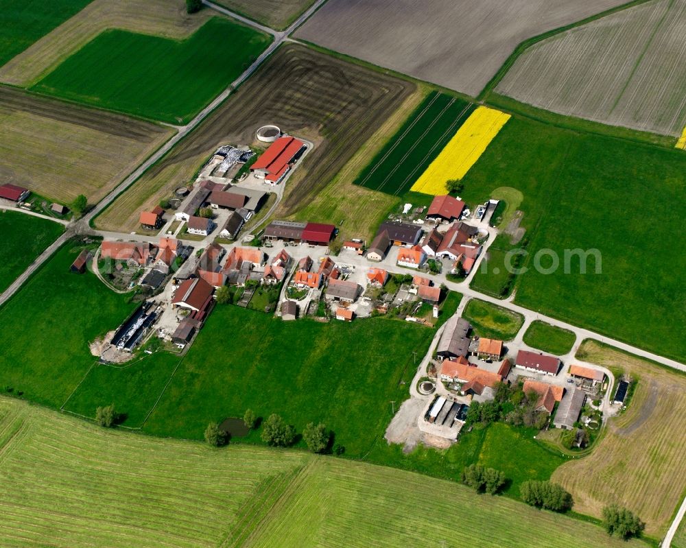 Oberhegenau from the bird's eye view: Agricultural land and field boundaries surround the settlement area of the village in Oberhegenau in the state Bavaria, Germany