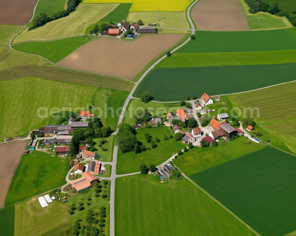 Aerial image Oberhornstolz - Agricultural land and field boundaries surround the settlement area of the village in Oberhornstolz in the state Baden-Wuerttemberg, Germany