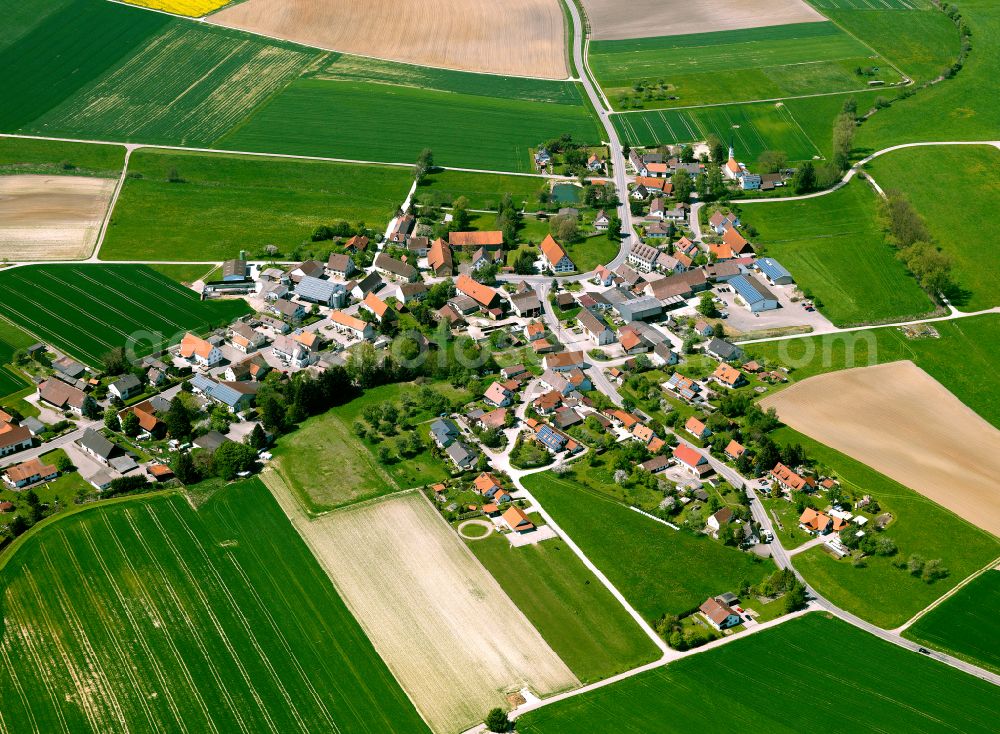 Oberstadion from above - Agricultural land and field boundaries surround the settlement area of the village in Oberstadion in the state Baden-Wuerttemberg, Germany