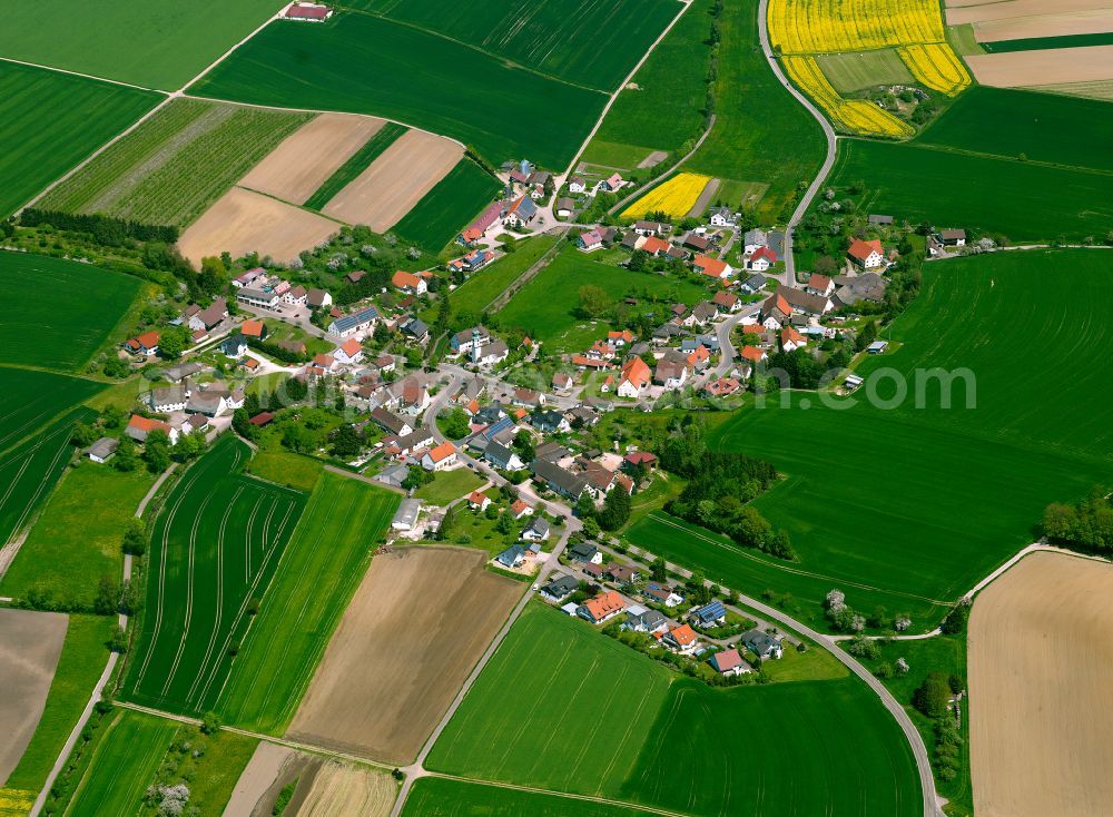 Aerial image Oberstadion - Agricultural land and field boundaries surround the settlement area of the village in Oberstadion in the state Baden-Wuerttemberg, Germany