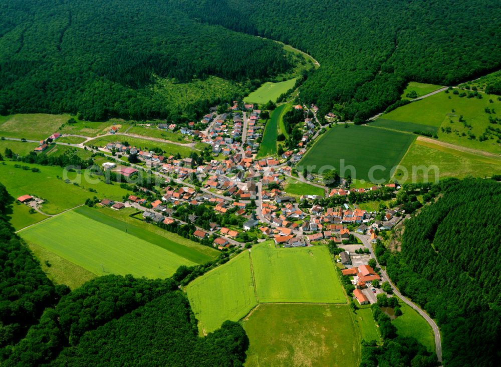 Oberwiesen from the bird's eye view: Agricultural land and field boundaries surround the settlement area of the village in Oberwiesen in the state Rhineland-Palatinate, Germany