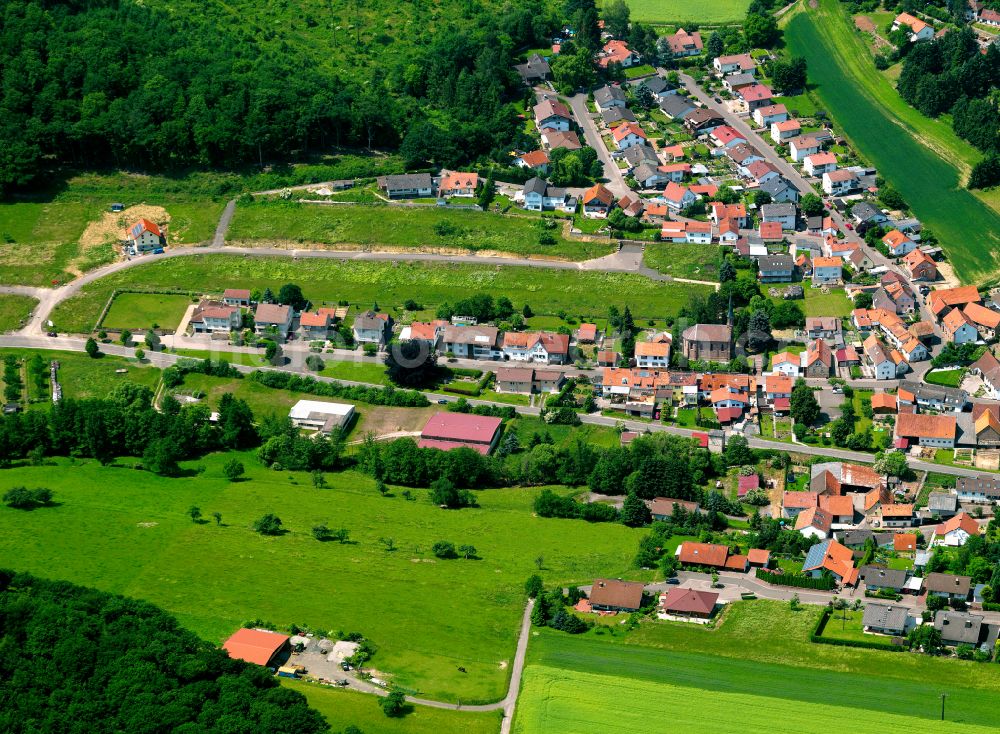 Aerial photograph Oberwiesen - Agricultural land and field boundaries surround the settlement area of the village in Oberwiesen in the state Rhineland-Palatinate, Germany