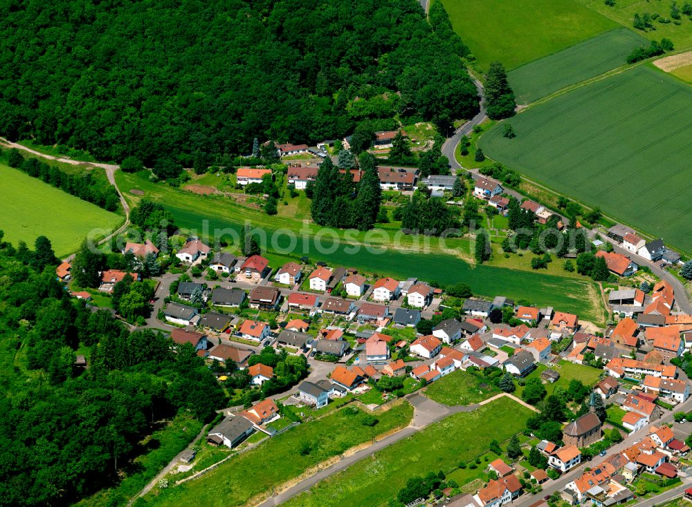 Oberwiesen from the bird's eye view: Agricultural land and field boundaries surround the settlement area of the village in Oberwiesen in the state Rhineland-Palatinate, Germany