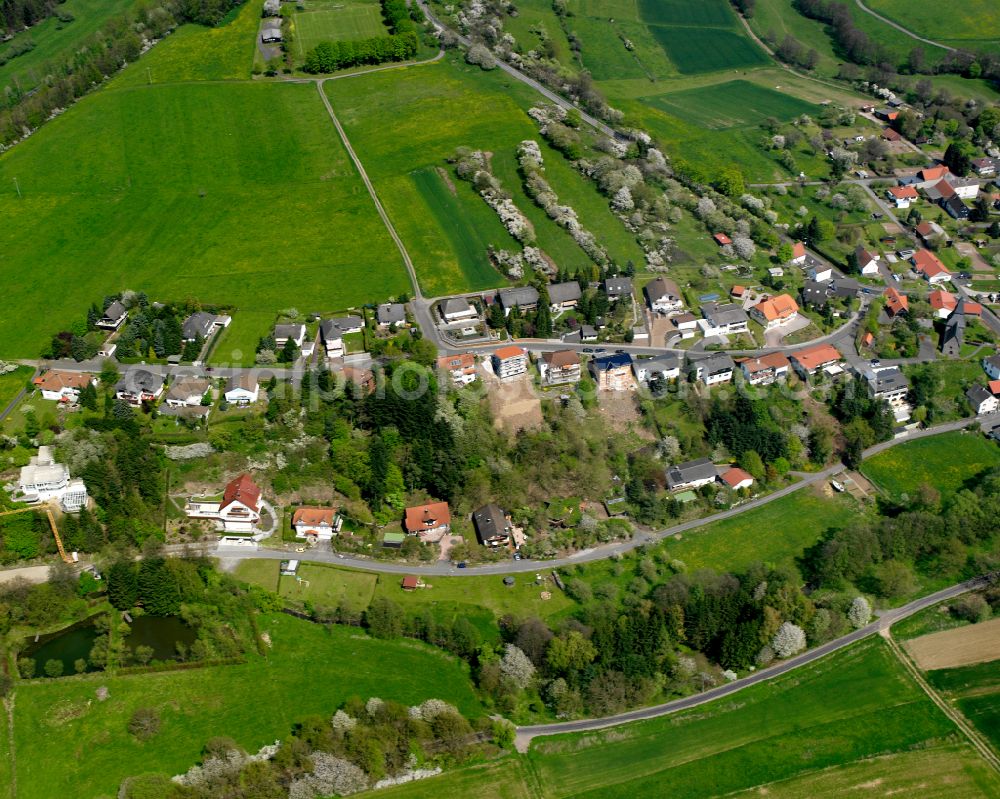 Aerial image Odenhausen - Agricultural land and field boundaries surround the settlement area of the village in Odenhausen in the state Hesse, Germany