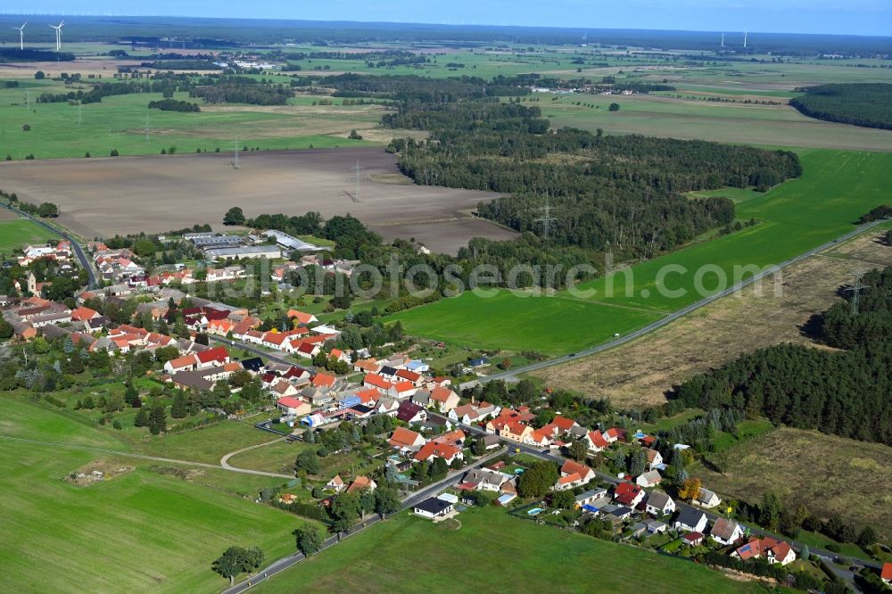 Aerial image Oelsig - Agricultural land and field boundaries surround the settlement area of the village in Oelsig in the state Brandenburg, Germany