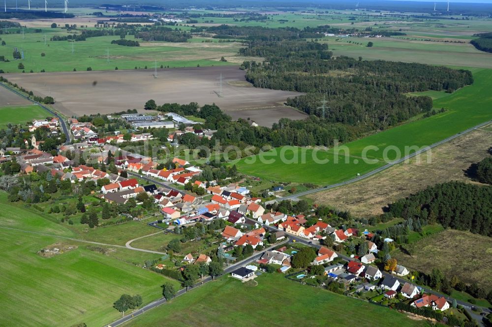 Aerial photograph Oelsig - Agricultural land and field boundaries surround the settlement area of the village in Oelsig in the state Brandenburg, Germany