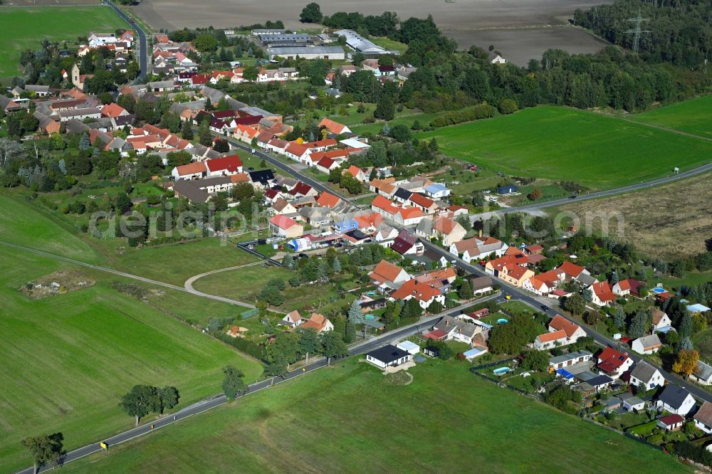 Oelsig from above - Agricultural land and field boundaries surround the settlement area of the village in Oelsig in the state Brandenburg, Germany