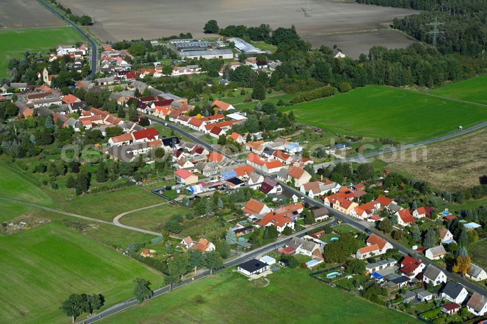 Oelsig from the bird's eye view: Agricultural land and field boundaries surround the settlement area of the village in Oelsig in the state Brandenburg, Germany