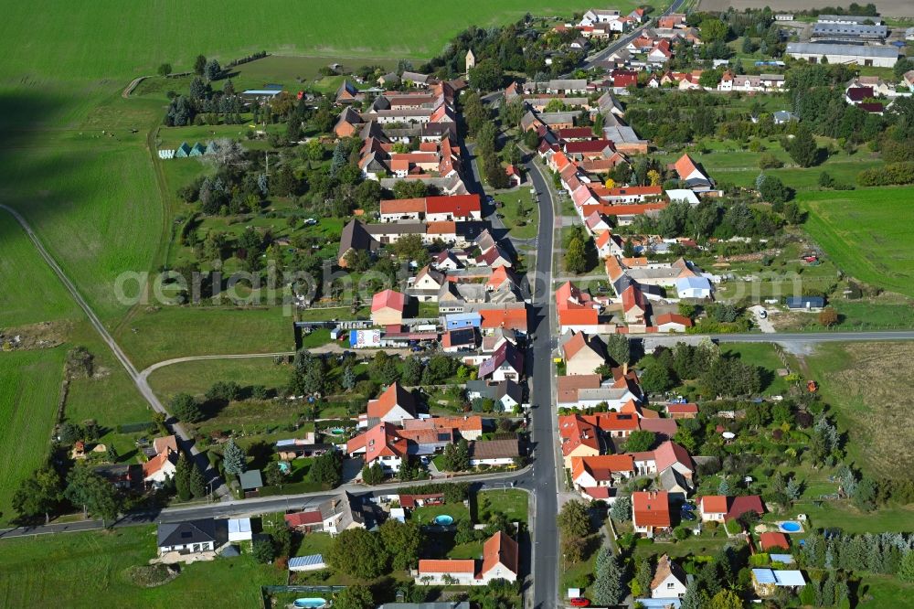 Aerial image Oelsig - Agricultural land and field boundaries surround the settlement area of the village in Oelsig in the state Brandenburg, Germany