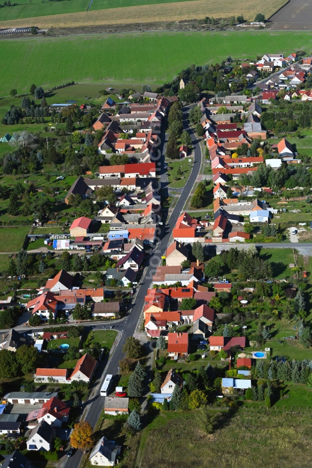 Aerial photograph Oelsig - Agricultural land and field boundaries surround the settlement area of the village in Oelsig in the state Brandenburg, Germany