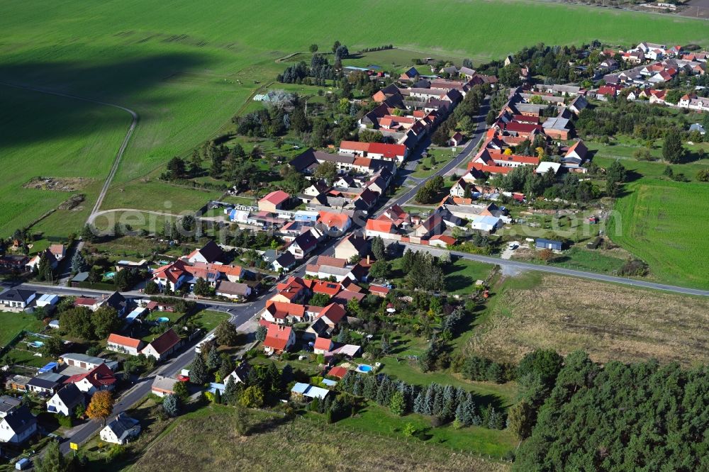 Oelsig from above - Agricultural land and field boundaries surround the settlement area of the village in Oelsig in the state Brandenburg, Germany